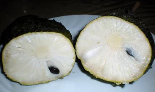 guanabana2