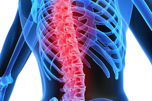 HEALTH CONCERNS:
Medically, a case of SEVERE osteoporosis / Osteomalacia - with 60 percent bone loss (somehow I feels those terminological labels are just labels- I don't really identify with them though that may be the medical way of describing the current condition)